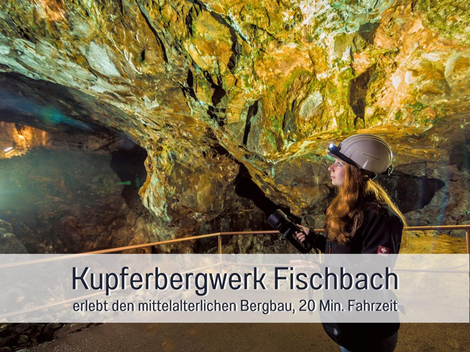 Natur-Chalet Zum Nationalpark Marie-Luise Inkl E-Auto Allenbach Esterno foto