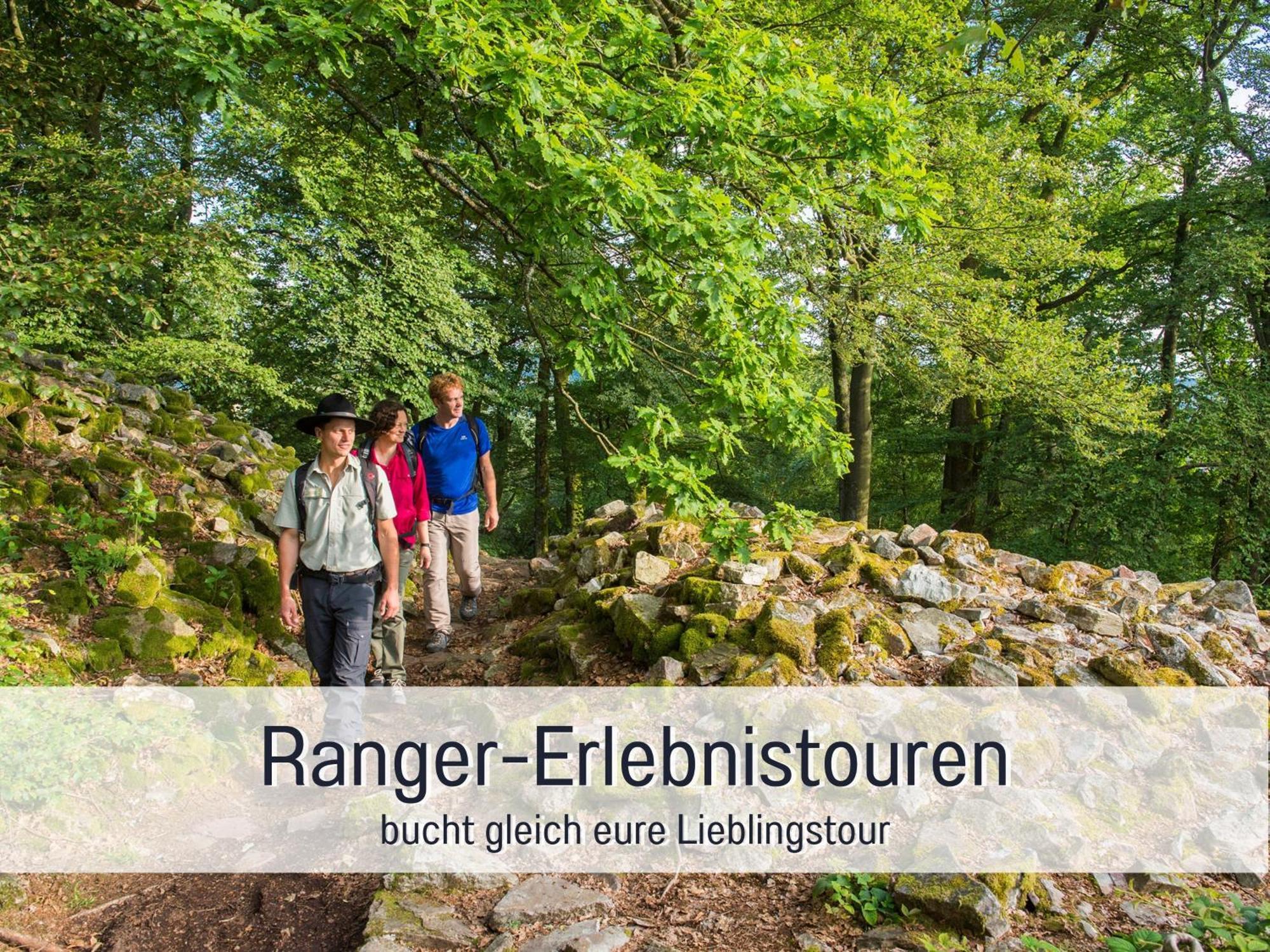 Natur-Chalet Zum Nationalpark Marie-Luise Inkl E-Auto Allenbach Esterno foto
