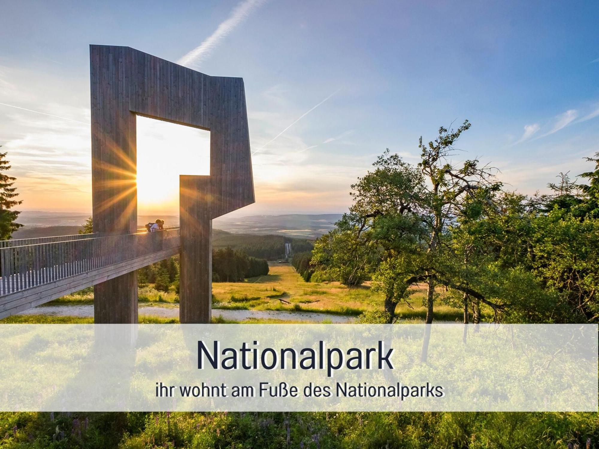 Natur-Chalet Zum Nationalpark Marie-Luise Inkl E-Auto Allenbach Esterno foto